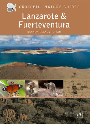 Crossbill Guide Lanzarote and Fuerteventura
