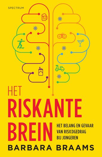 Het riskante brein (e-book)