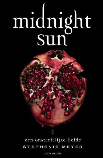 Midnight Sun (e-book)