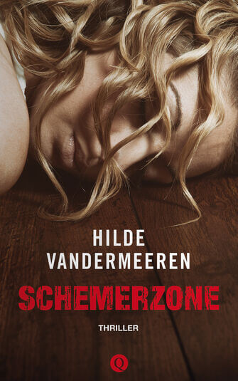 Schemerzone (e-book)