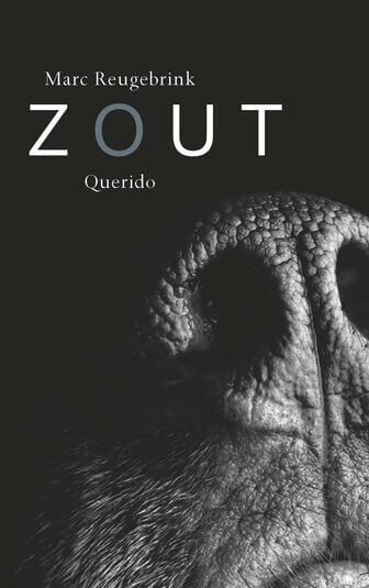 Zout (e-book)