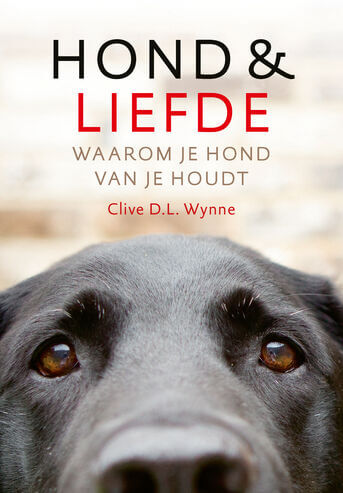 Hond &amp; liefde (e-book)
