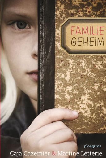 Familiegeheim (e-book)