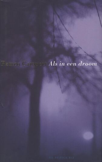 Als in een droom (e-book)