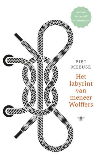 Het labyrint van meneer Wolffers (e-book)