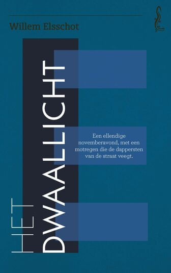Dwaallicht (e-book)