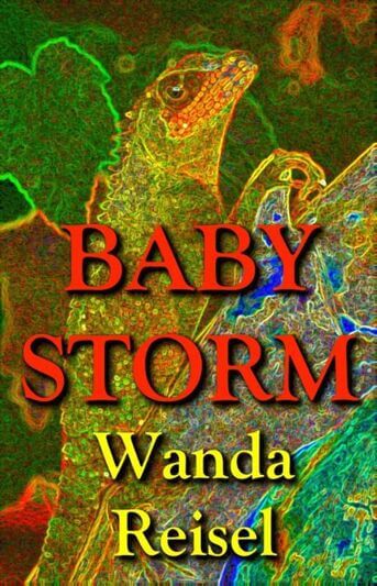 Baby Storm (e-book)