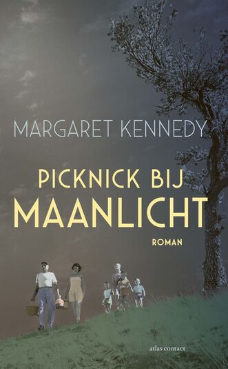 Picknick bij maanlicht (e-book)