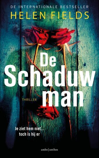 De schaduwman (e-book)