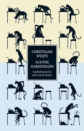 Achternamiddagen (e-book)