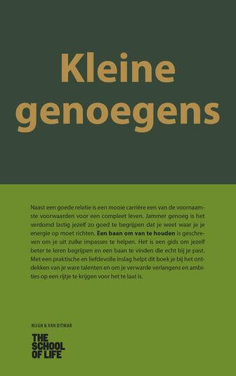 Kleine genoegens (e-book)