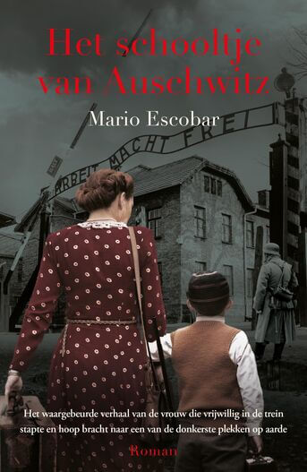 Het schooltje van Auschwitz (e-book)