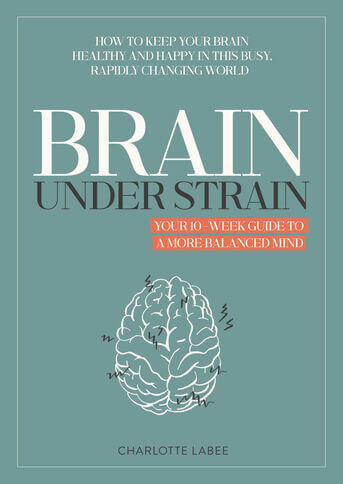 Brain under Strain (e-book)
