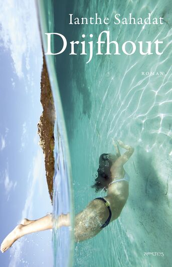 Drijfhout (e-book)