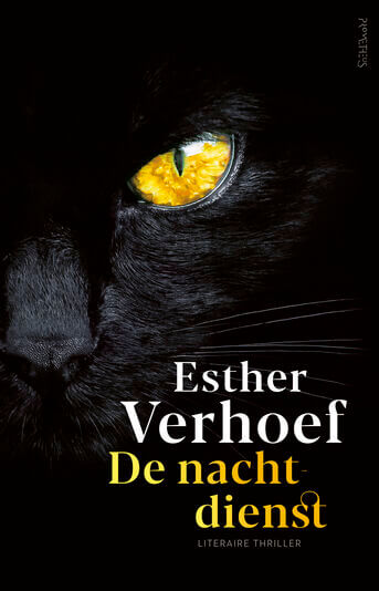 De Nachtdienst (e-book)