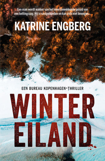 Wintereiland (e-book)
