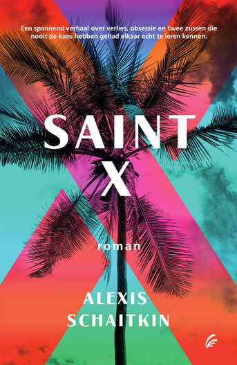 Saint X (e-book)