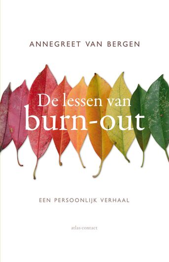 De lessen van burn-out (e-book)
