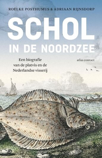 Schol in de Noordzee (e-book)