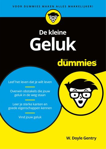 De kleine Geluk voor Dummies (e-book)