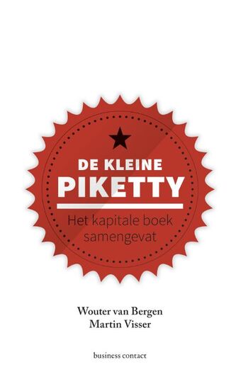 De kleine Piketty (e-book)