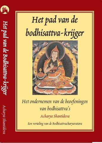 Het pad van de Bodhisattva-krijger (e-book)