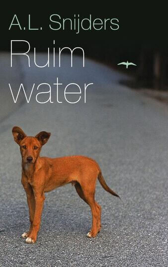 Ruim water (e-book)