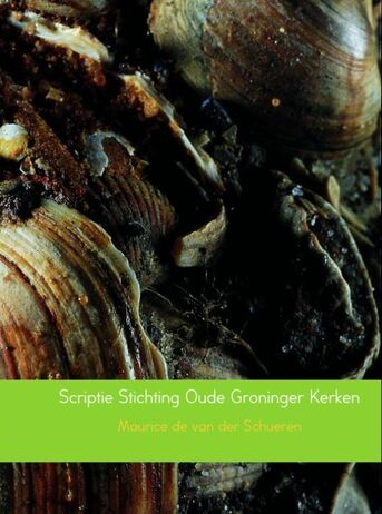 Scriptie Stichting Oude Groninger Kerken (e-book)