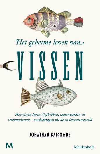 Het geheime leven van vissen (e-book)