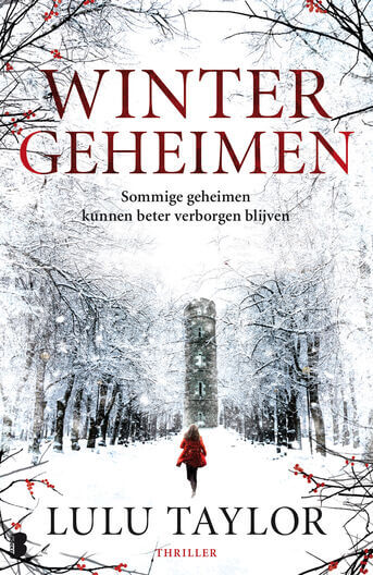 Wintergeheimen (e-book)
