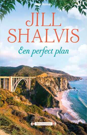 Een perfect plan (e-book)