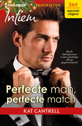 Perfecte man, perfecte match (e-book)