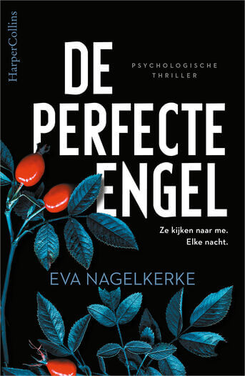 De perfecte engel (e-book)