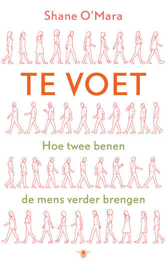 Te voet (e-book)