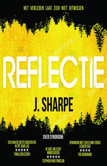 Reflectie (e-book)