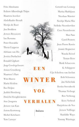 Een winter vol verhalen (e-book)