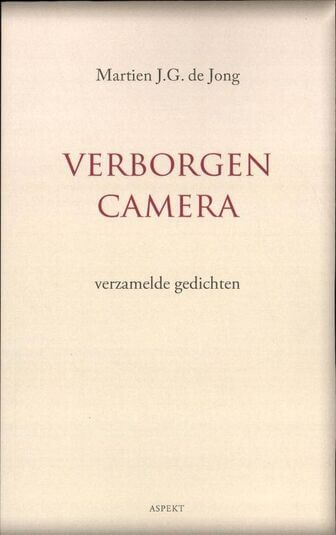 Verborgen camera (e-book)