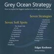 Grey Ocean Strategy