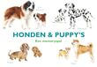 Honden &amp; Puppy&#039;s