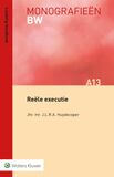 Reële executie (e-book)