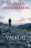 Valkuil (e-book)