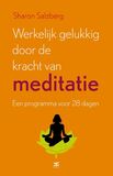 Werkelijk gelukkig worden door de kracht van meditatie (e-book)