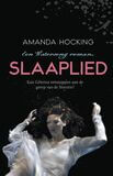 Slaaplied (e-book)