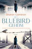 Het Bluebird geheim (e-book)
