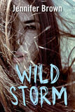 Wild storm (e-book)