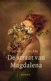 De straat van Magdalena (e-book)