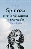 Spinoza uit zijn gelijkenissen en voorbeelden (e-book)