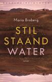 Stilstaand water (e-book)
