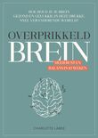 Overprikkeld Brein (e-book)