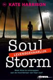 Soul Storm (e-book)